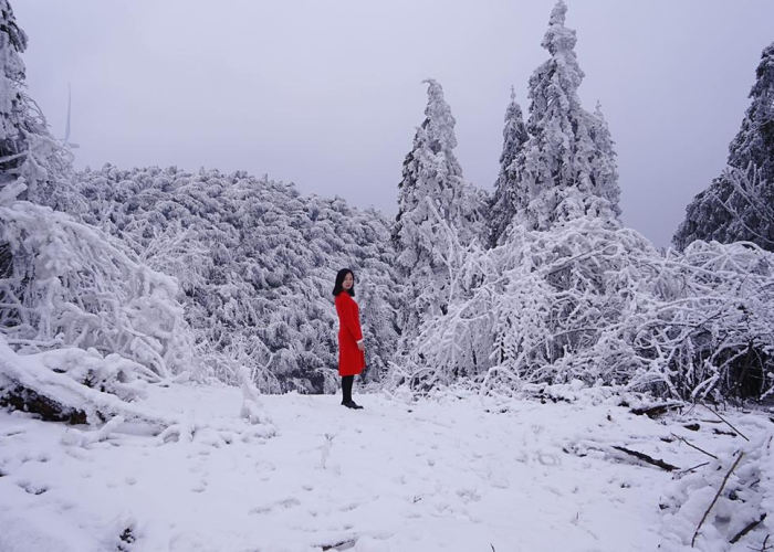 房卡必备教程“狂飙大厅牛牛金花房卡”房卡链接获取 房卡必备教程“狂飙大厅牛牛金花房卡”房卡链接获取