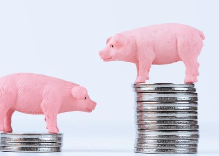 【92汽油油价调整,92号汽油价格调价窗口】 【92汽油油价调整,92号汽油价格调价窗口】