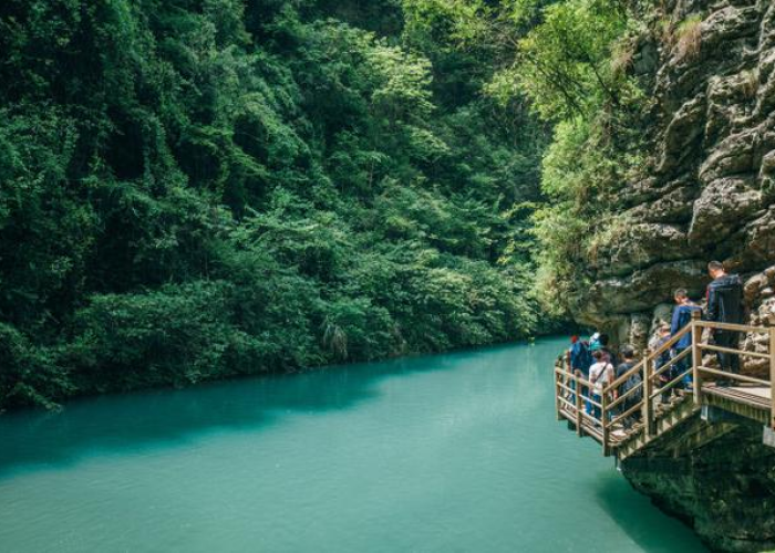 张家界景区开放了吗?/张家界景区开放了吗最新消息 张家界景区开放了吗?/张家界景区开放了吗最新消息