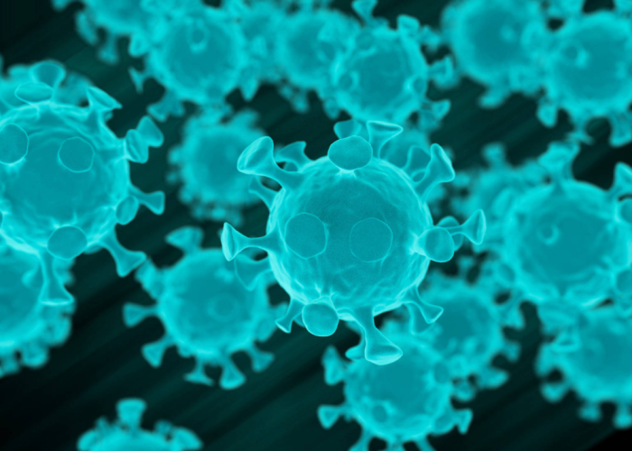 h3n8型流感病毒/h4n8流感病毒 h3n8型流感病毒/h4n8流感病毒