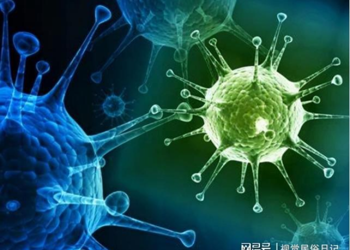 h3n8型流感病毒/h4n8流感病毒 h3n8型流感病毒/h4n8流感病毒