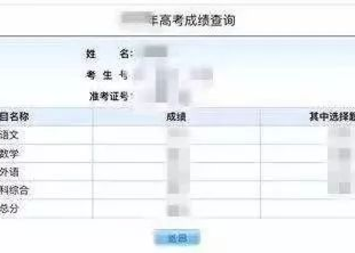 高考报名号遗忘莫慌张，多渠道精准查询助你扬帆远航