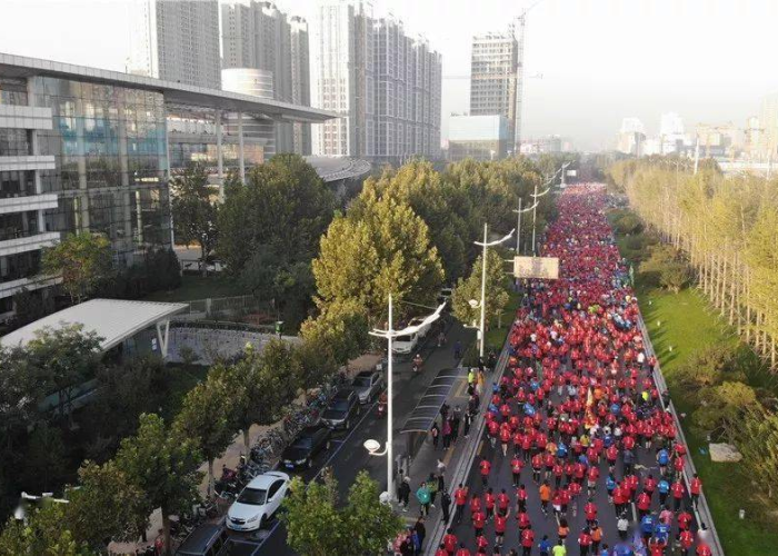 石家庄终于解封了（石家庄解封了吧）