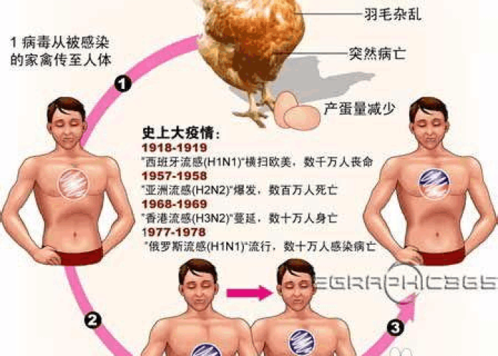 h7n9禽流感的病原体是什么/h7n9型禽流感常见病因 h7n9禽流感的病原体是什么/h7n9型禽流感常见病因