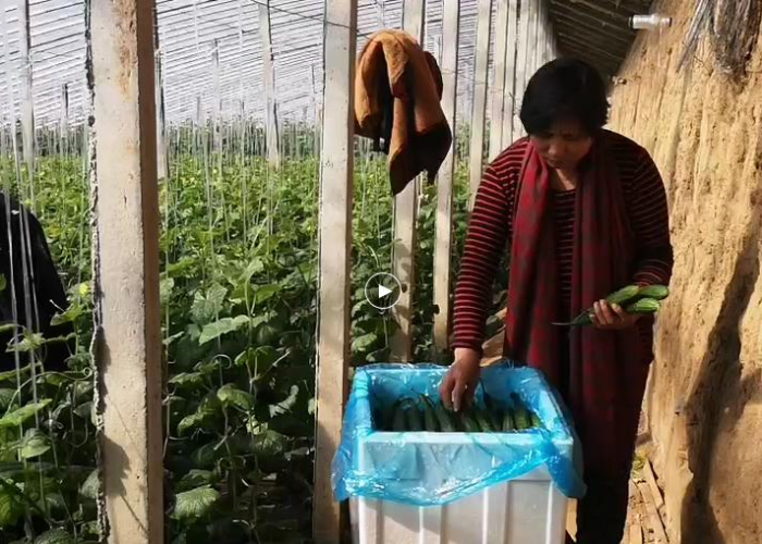 兰陵疫情最新消息今天/兰陵疫情最新消息今天新增 兰陵疫情最新消息今天/兰陵疫情最新消息今天新增