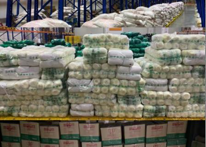 洛克王国出号/洛克王国的号 洛克王国出号/洛克王国的号