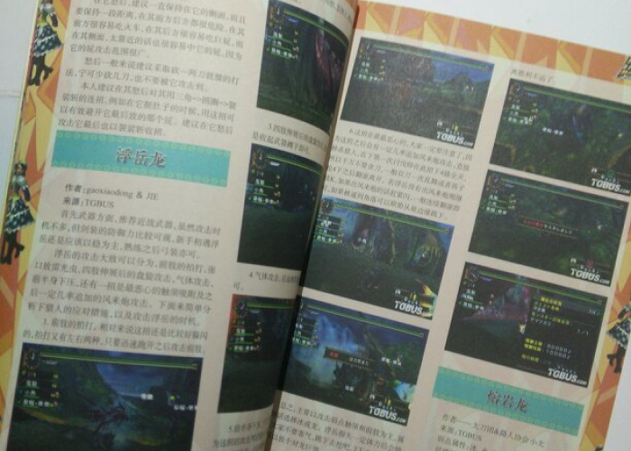 【怪物猎人2g攻略中文版/怪物猎人2g全攻略】