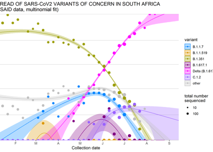 【西安确诊新型冠状/西安确诊新型肺炎最近】
