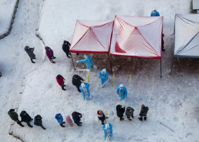 b.1.617变异毒株/p1变异毒株 b.1.617变异毒株/p1变异毒株