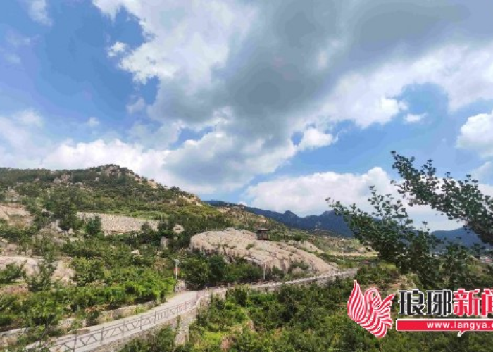 b.1.617变异毒株/p1变异毒株 b.1.617变异毒株/p1变异毒株