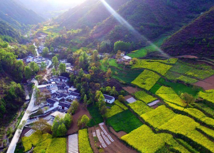 颍上县疫情最新报道/颍上县新冠肺炎疫情 颍上县疫情最新报道/颍上县新冠肺炎疫情