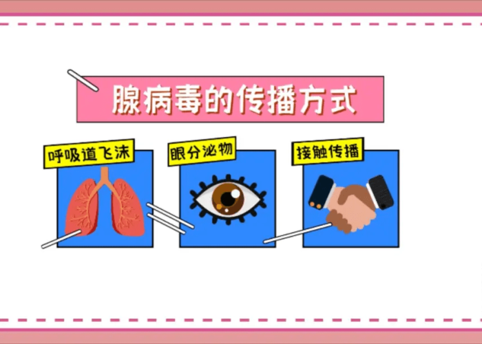 【琅琊病毒的传播途径,琅琊病毒的传播途径是什么】 【琅琊病毒的传播途径,琅琊病毒的传播途径是什么】