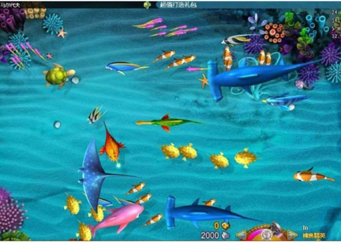 安卓玩捕鱼假日，重温经典，掌握技巧，畅享海洋冒险之旅