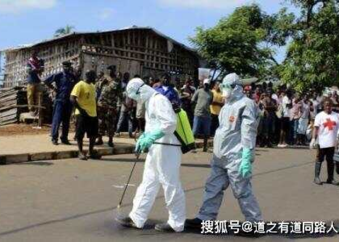 埃博拉秒懂百科,揭秘致命病毒的起源、传播与全球防控 埃博拉秒懂百科,揭秘致命病毒的起源、传播与全球防控