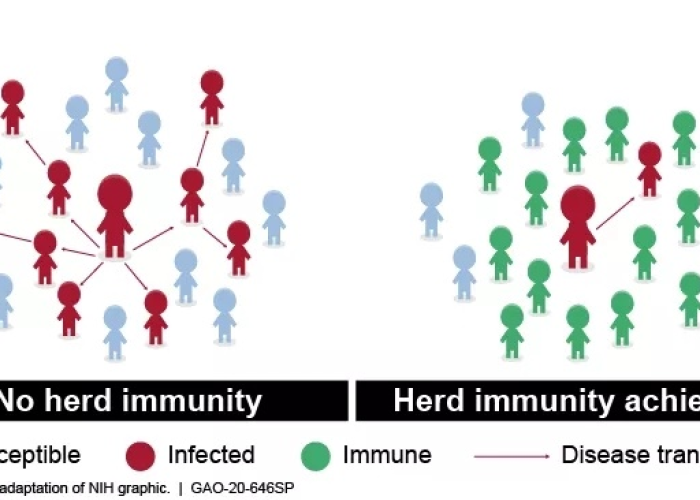 给大家讲解“微信炸 金花房卡怎么搞”详细房卡教程 给大家讲解“微信炸 金花房卡怎么搞”详细房卡教程