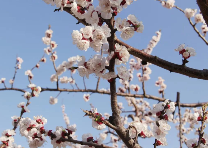 广东惠州确诊病例/广东惠州新冠状病毒病例 广东惠州确诊病例/广东惠州新冠状病毒病例