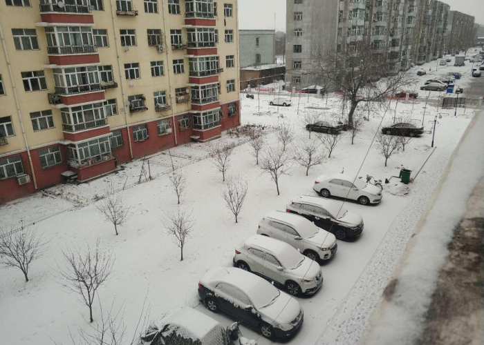 【国内疫情最新情况黑龙江/中国疫情最新消息黑龙江疫情最新消息全国】 【国内疫情最新情况黑龙江/中国疫情最新消息黑龙江疫情最新消息全国】