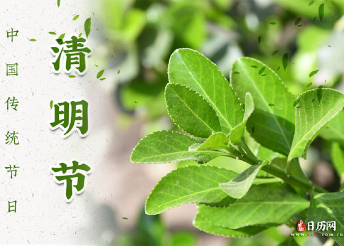 【2021年清明节是什么时间/2021年清明节是哪一天?】 【2021年清明节是什么时间/2021年清明节是哪一天?】