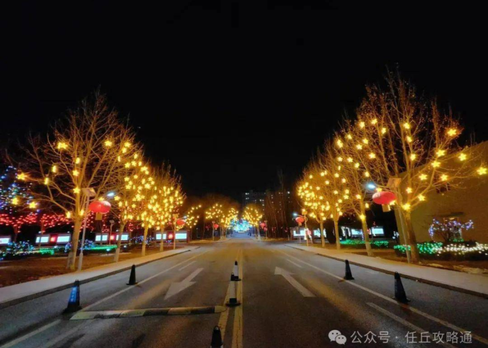 任丘韧性，透视非常时期的城市肌理与人文底色