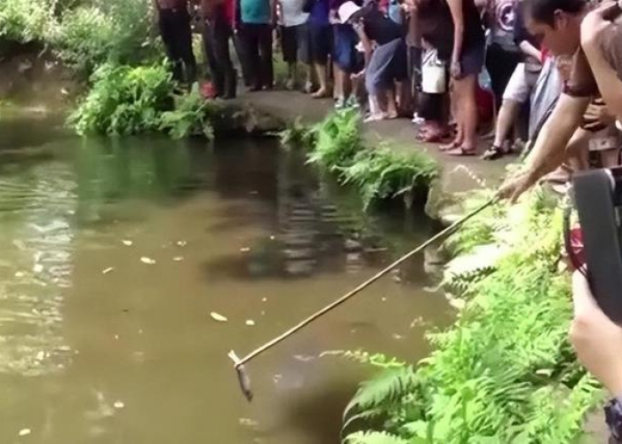 嘉兴一不明物体坠鱼塘砸出深坑/嘉兴鱼塘坠入不明物体