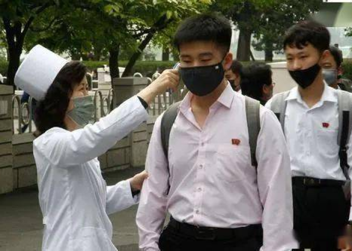 燃油经济性之王，朗逸每公里成本深度解析，省钱秘诀全公开