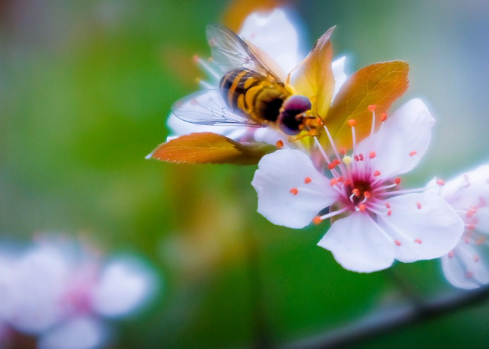 洞悉数据脉搏,从全国疫情统计看防控新常态与未来走向 洞悉数据脉搏,从全国疫情统计看防控新常态与未来走向