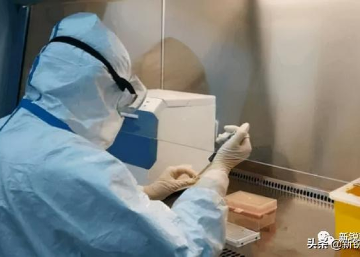 核酸检测结果查询阳性，面对现实、科学应对与心理调适的全方位指南