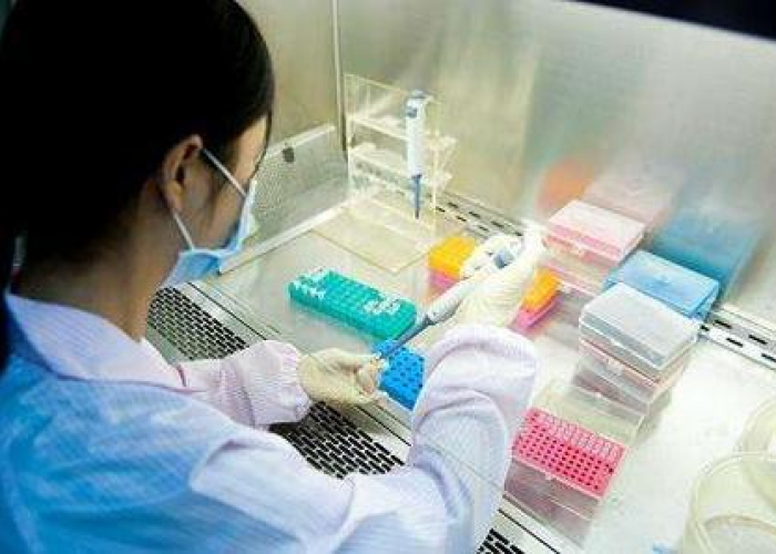 【上海核酸检测金额,上海核酸检测费用50】 【上海核酸检测金额,上海核酸检测费用50】