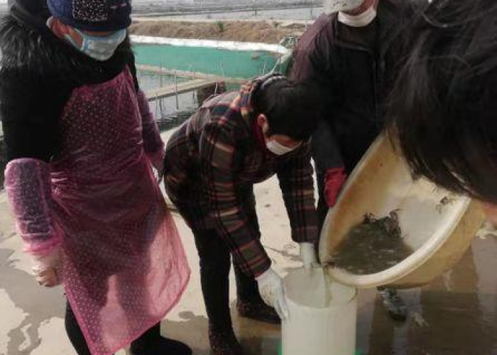 阅兵式2025(阅兵式2025完整版高清) 阅兵式2025(阅兵式2025完整版高清)