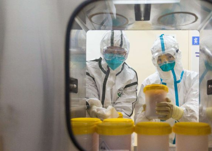 英国疫情发生变异:英国疫情变异意味着什么 英国疫情发生变异:英国疫情变异意味着什么