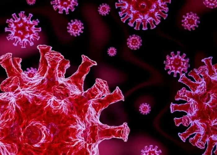 变异病毒感染最明显的症状/变异病毒是怎么回事 变异病毒感染最明显的症状/变异病毒是怎么回事