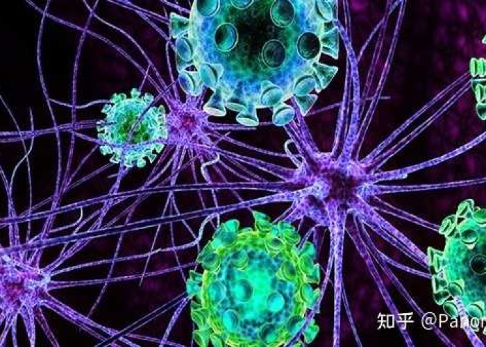 变异病毒感染最明显的症状/变异病毒是怎么回事 变异病毒感染最明显的症状/变异病毒是怎么回事