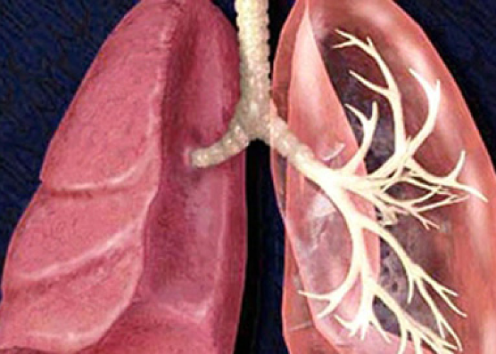 秒懂百科“红包斗牛控制尾数开挂”房卡详细充值 秒懂百科“红包斗牛控制尾数开挂”房卡详细充值