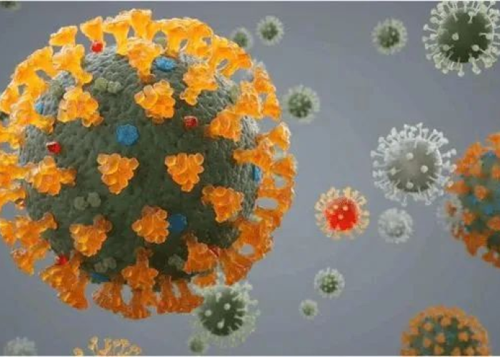 德尔塔变异毒株拥有哪些特点(德尔塔变异毒株具有以下哪些特点) 德尔塔变异毒株拥有哪些特点(德尔塔变异毒株具有以下哪些特点)