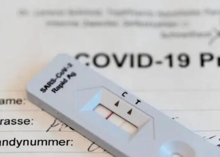 新冠发烧区别/新冠与发烧 新冠发烧区别/新冠与发烧