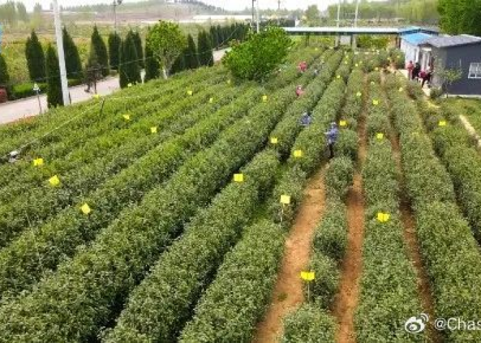 房卡必备教程“微信链接斗牛房卡怎么买”房卡获取方式 房卡必备教程“微信链接斗牛房卡怎么买”房卡获取方式