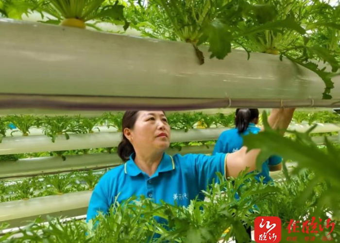 阿玛拉王国主线任务攻略,命运之线的完整指引与深度解析 阿玛拉王国主线任务攻略,命运之线的完整指引与深度解析