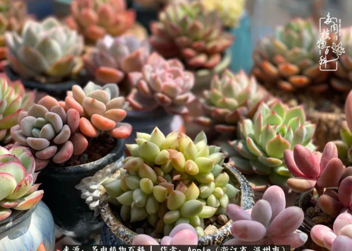 2021五一节放假时间(2021五一节放假时间表) 2021五一节放假时间(2021五一节放假时间表)