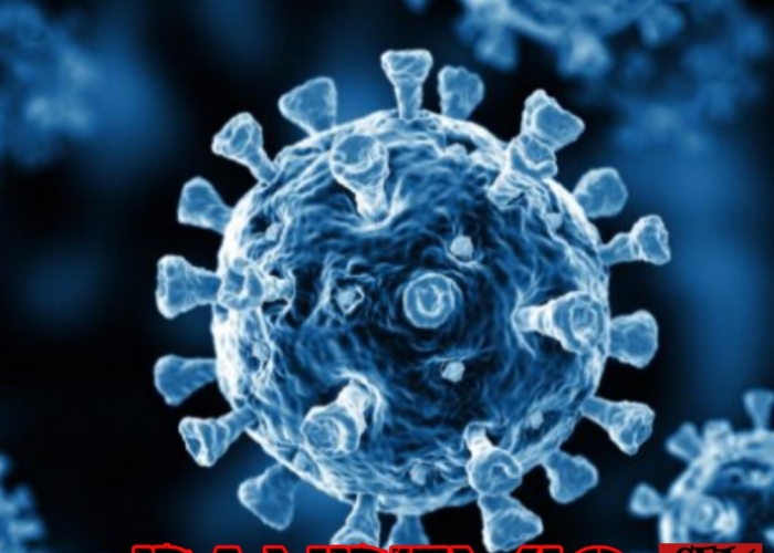 pandemic英文释义/pandemic meaning