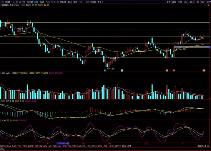 河北保定一例是哪的,追溯疫情源头与区域防控的深度解析 河北保定一例是哪的,追溯疫情源头与区域防控的深度解析