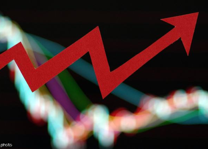 关闭入境,全球危机下的战略抉择与未来展望 关闭入境,全球危机下的战略抉择与未来展望