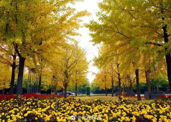 全攻略普及“微信牛牛群房卡怎么弄”详细房卡教程 全攻略普及“微信牛牛群房卡怎么弄”详细房卡教程