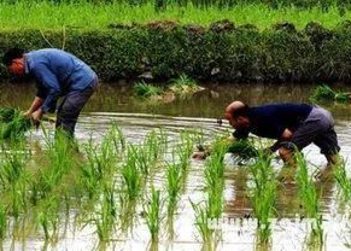 【哈尔滨疫情封城时间表,哈尔滨封城消息】 【哈尔滨疫情封城时间表,哈尔滨封城消息】