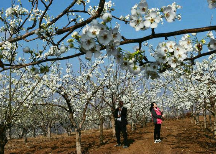 【北京核检测机构/北京核算检查机构】 【北京核检测机构/北京核算检查机构】