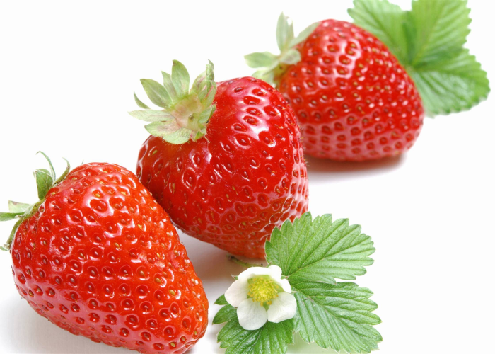 金刚2hd/金刚2号草莓品种介绍 金刚2hd/金刚2号草莓品种介绍