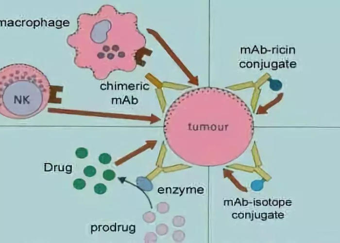 房卡全攻略“炸 金花房卡链接多少钱”轻松获取房卡全渠道 房卡全攻略“炸 金花房卡链接多少钱”轻松获取房卡全渠道