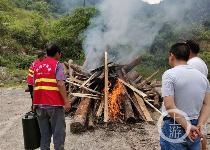 开州疫情态势趋稳,精准防控筑牢健康屏障,最新数据解读与市民提醒 开州疫情态势趋稳,精准防控筑牢健康屏障,最新数据解读与市民提醒