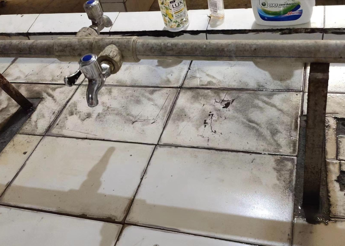 【武汉一例霍乱/武汉一例霍乱病例】 【武汉一例霍乱/武汉一例霍乱病例】