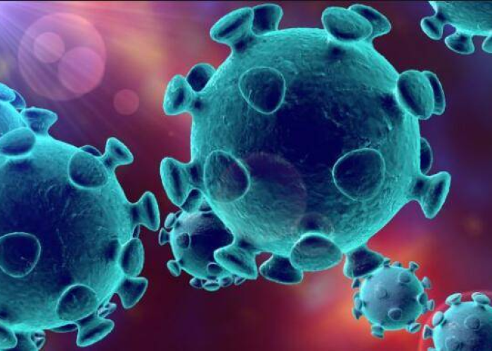 保定进入战时状态什么意思/保定进入战时状态会停课吗