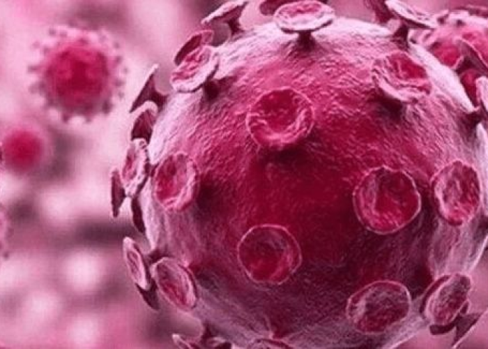 塔尔病毒几天发病/塔尔病毒感染症状 塔尔病毒几天发病/塔尔病毒感染症状